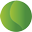 Icon Design